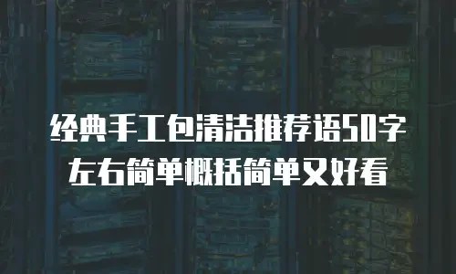 经典手工包清洁推荐语50字左右简单概括简单又好看