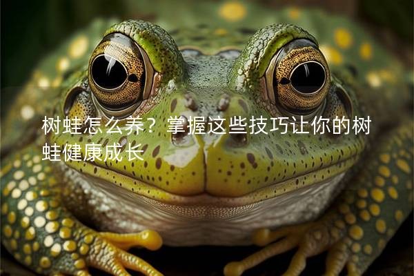 树蛙怎么养?掌握这些技巧让你的树蛙健康成长