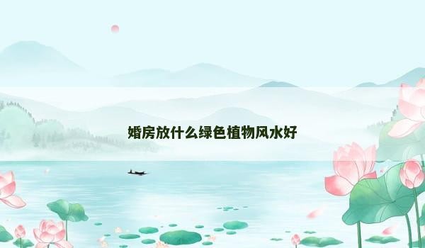 婚房放什么绿色植物风水好