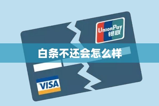 白条不还会怎么样