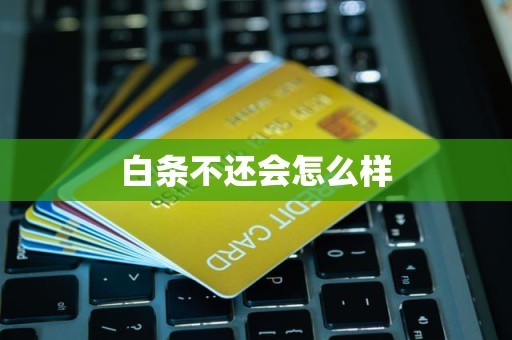 白条不还会怎么样