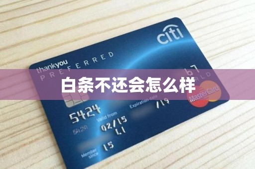 白条不还会怎么样