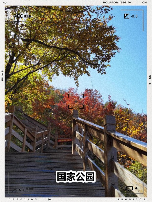 黑山4天3晚自驾游攻略 这次的旅程选择了黑山，自驾游真的太适合探索这里的美丽风景啦！从Podgorica到Budva，再到科托尔和杜米托尔国家公园，最后还有刺激的实弹射击体验，整个行程丰富又充实。来看看我的游玩路线和攻略吧～ 流浪地球还得看我的，直接来抄作业吧~ 行程小抄，拿走不谢： Day1: Podgorica->budva城堡 Day2: 科托尔->科托尔古城->蓝洞 Day3: 国家公园->黑湖 Day4: 靶场 Day1: Podgorica到Budva的古城之旅 从Podgorica出发，大约11:30左右我们驱车前往Budva城堡。Podgorica到Budva大约2小时，建议提前出发避免塞车。到达Budva后，从城堡东门进入，满眼都是古老的建筑和威尼斯风格的设计。从城堡高处可以俯瞰整个老城和亚得里亚海，景色绝美！推荐大家到布德瓦城堡(Citadel)俯瞰全城和海岸，风景绝佳，是拍照片的最佳机位。 接着，我们沿着老城的小巷继续探索，布德瓦老城有着2500年的历史，石头建筑在阳光下熠熠生辉。圣三一、圣伊万和圣萨瓦三座教堂都很值得一看。下午在布德瓦著名的海滩上散步，这里绿树成荫，悬崖边的白色游艇宛如利剑指向天空。看到很多小猫咪，布德瓦的猫咪特别可爱，但记得保持距离。 傍晚，选择去Old Fisherman's Pub享受海景，看别人吃海鲜意面和披萨，人均消费大约10-15欧元。这里的夜景也很美，是放松的好地方。 住宿建议：Becicka Plaza酒店，性价比高，位置绝佳。 出行Tips： 1. 从Podgorica到Budva建议租车，自驾更方便。 2. 晚上10:00后超市关门，备好零食和生活必需品。 Day2: 科托尔古与蓝洞探险 早上从科托尔站出发，可以选择打车或者步行到古城，大约5-10分钟。科托尔古城是巴尔干地区保存最完整的古城之一，门票3.5欧/人。古城内有很多历史遗迹，比如天主教堂、钟塔和航海博物馆，不要错过那些可爱的猫咪哦！ 下午前往蓝洞，蓝洞Blue Cave位于黑山海岸线上，以其清澈的海水和美丽壁画著名。我们选择了12:00的班次，这个时间段阳光最强烈，可以看到最美的蓝洞效果。门票大约35欧/人，可以选择拼船或者包船，建议提前一天预约游艇。 回到古城后，可以选择继续在古城内闲逛，或者找个咖啡馆坐坐。晚上，结束一天的探险后，乘出租车返回民宿休息。 住宿建议：Becicka Plaza酒店，性价比高，位置绝佳。 出行Tips： 1. 夏季蓝洞班次较多，但冬季下午3:00的班次会取消。 2. 出海前记得提前关注天气情况。 Day3: 探秘杜米托尔国家公园与黑湖 从住宿地出发，前往杜米托尔国家公园（Durmitor National Park）。杜米托尔国家公园是联合国教科文组织列入的世界自然-有驾