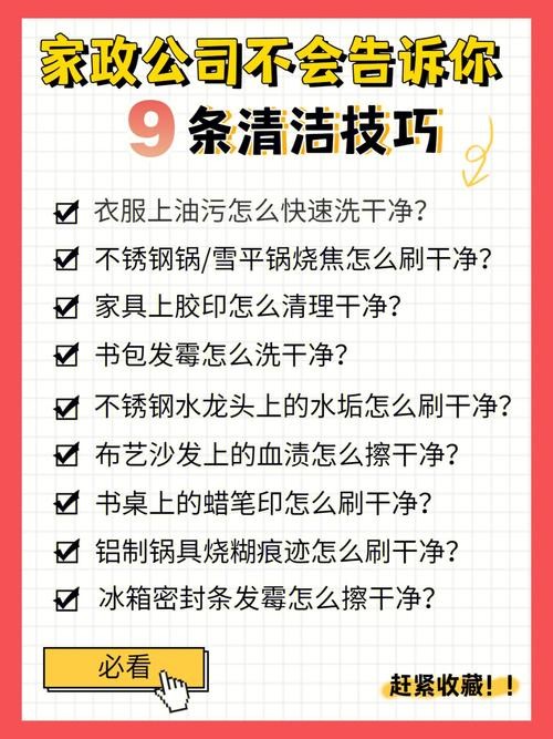 家庭事务游戏攻略详解 如何高效完成挑战