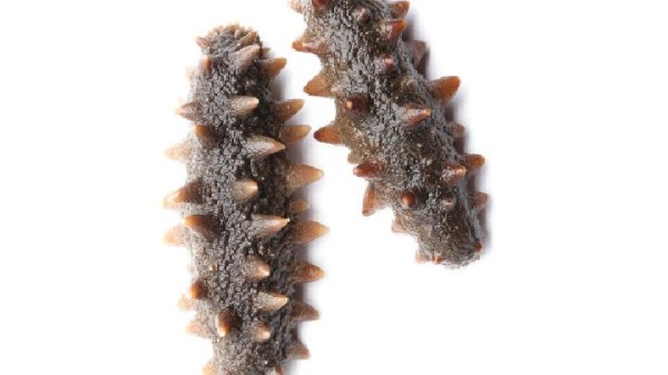 女性要如何养生?盘点5大养生技巧建议要牢记!