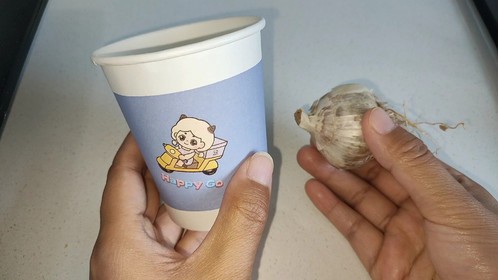 把大蒜放到一次性纸杯里，放在阳台，作用真的太厉害