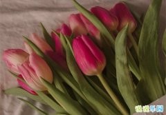 送母亲节花文案暖心短句