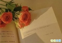有情感有温度的文案