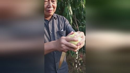 感受一下桃界的硕果累累