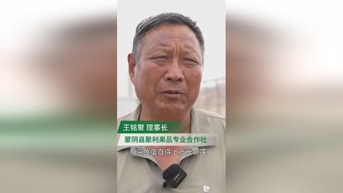 蒙阴桃农自制肥料能省上万元,桃品质蹭蹭涨