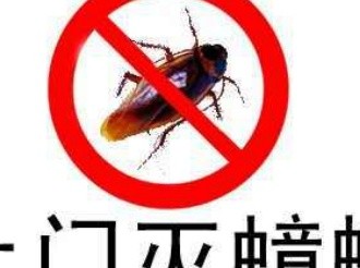 除虫除蚁灭蟑螂臭虫蚊蝇防治