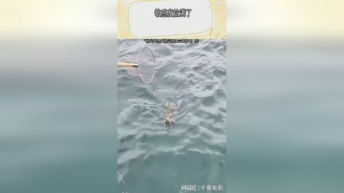 敏感度拉满了