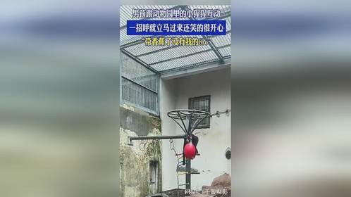 “带香蕉了没有我的bro”
