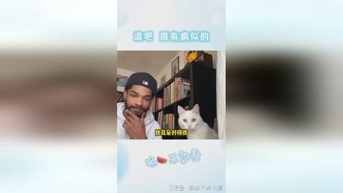 白猫：好神金的精神状态，我不认识他！