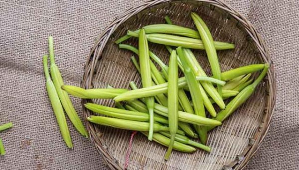 黄花菜不能和什么一起吃 黄花菜相克的食物 第2张