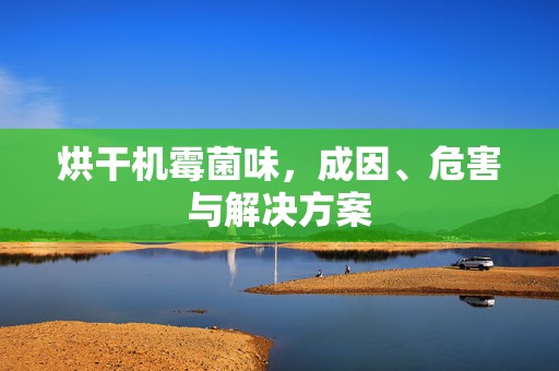 烘干机霉菌味，成因、危害与解决方案