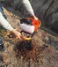 湖北家用大功率双人地钻农用植树挖坑机高效率钻洞挖坑机