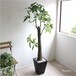 除甲醛异味日本进口光触媒CT触媒人造植物BiL-00023