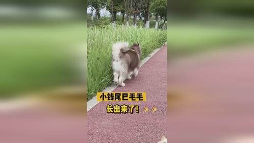 鱼油坚持吃真的能看到效果！