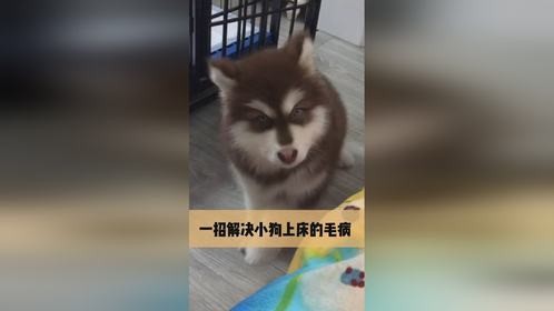 昨晚我又邀请钱钱来陪我睡了 他拒绝了