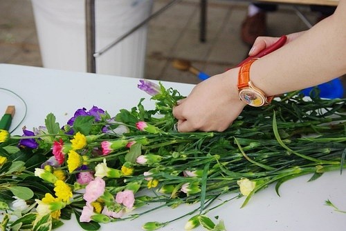 剪下鲜花。由皮诺琛拍摄。
