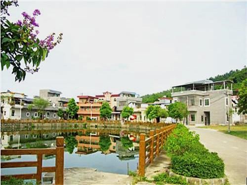 几种常见农村自建房绿化方法，效果特别好