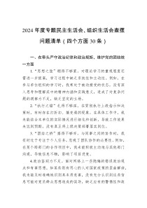 2024年度专题民主生活会、组织生活会查摆问题清单（四个方面30条）