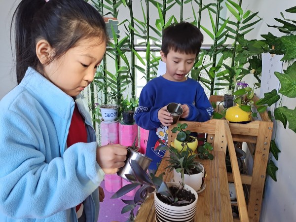 感受植物生长奥秘1.jpg