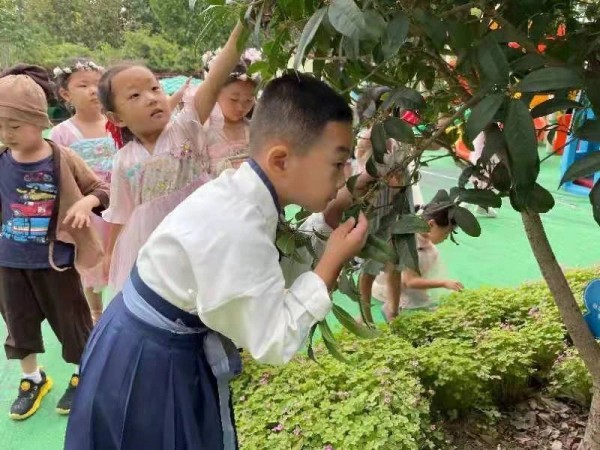 认识二十四节气.jpg