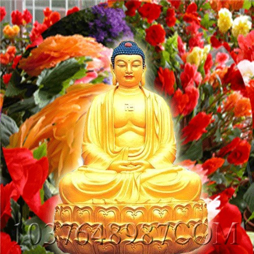 什么叫高品质生活 (感悟篇) - 荷莲 - 菩荷莲萨