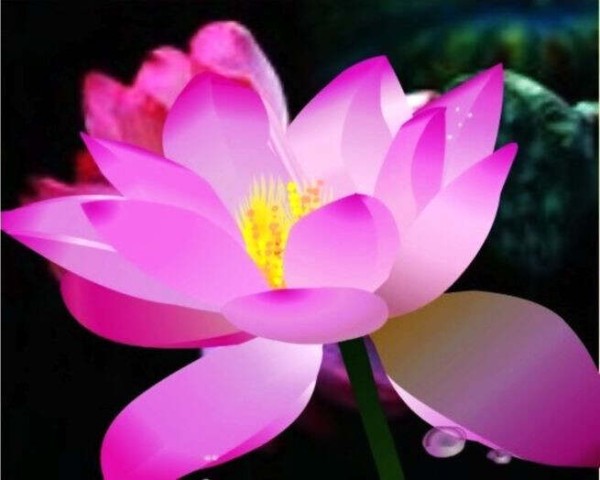 什么叫高品质生活 (感悟篇) - 荷莲 - 菩荷莲萨