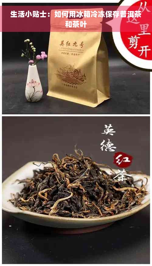 生活小贴士：如何用冰箱冷冻保存普洱茶和茶叶