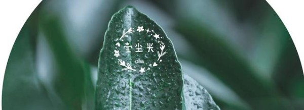 文章图片1