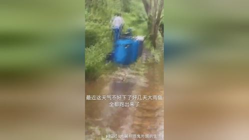 抓出来的还真不少