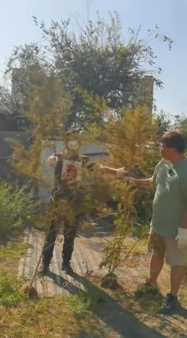 WechatIMG886.jpeg