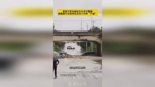 新能源越野车从积水桥洞穿过，拍摄男子激动飙“国粹”