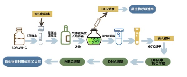 土壤微生物碳利用效率CUE实验方法介绍