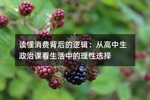 读懂消费背后的逻辑：从高中生政治课看生活中的理性选择