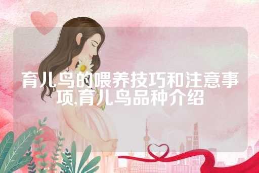 育儿鸟的喂养技巧和注意事项,育儿鸟品种介绍