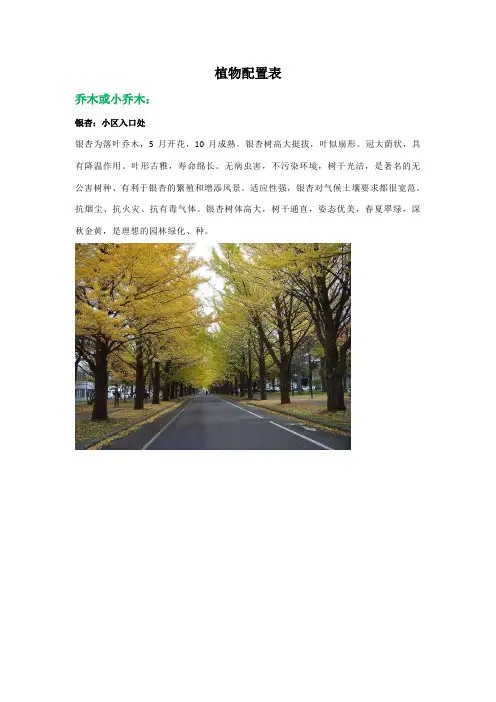 小区植物配置