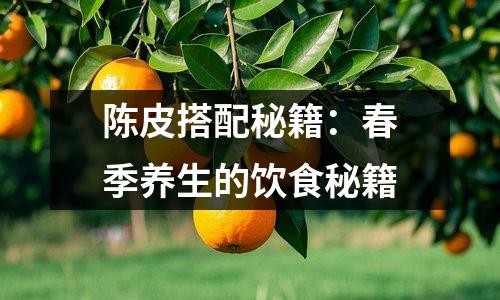 陈皮搭配秘籍：春季养生的饮食秘籍
