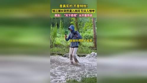 钱江潮水突然漫入林间 引众人惊呼，网友：“天下奇观”从不是传说