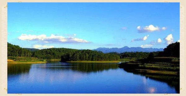 交通安全知识全解析：遵守规则，安全出行-有驾