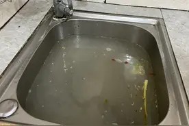 洗碗池下水道不管有多堵,丢一把它进去,马上就疏通,不花一毛钱图片