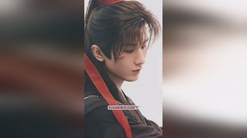 成毅赴山海是目前市面难得一见的真武侠古装剧