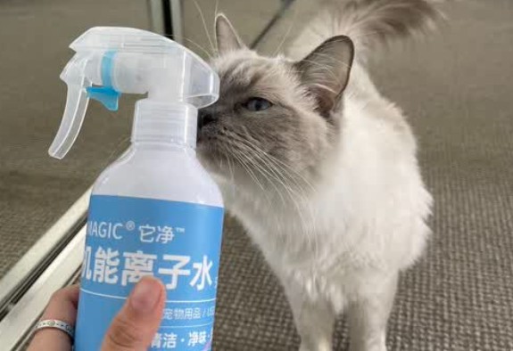 它净宠物清洁杀菌离子水：一瓶搞定宠物日常清洁难题