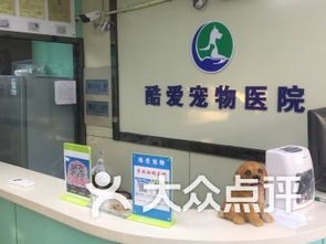 德阳宠物医院：宠物健康护理指南？德阳市宠物医院排名及服务项目介绍