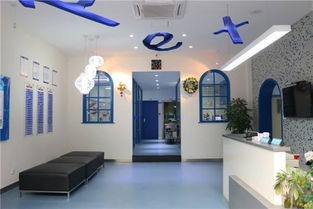 德阳宠物医院：宠物健康护理指南？德阳市宠物医院排名及服务项目介绍