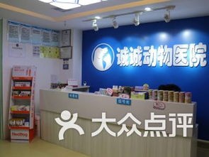 德阳宠物医院：宠物健康护理指南？德阳市宠物医院排名及服务项目介绍