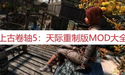 《上古卷轴5:天际重制版》MOD大全
